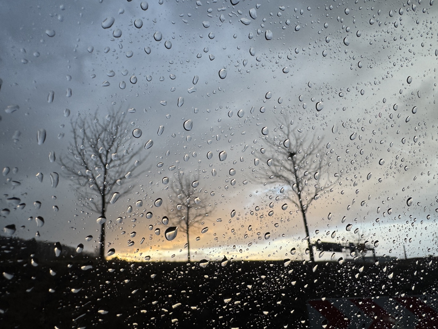 Raindrops on glass with trees in the distance