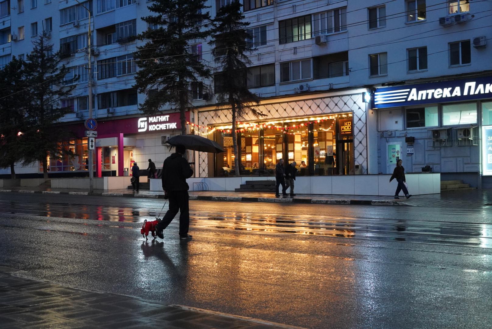 Person with an umbrella walking a small red dog on a rainy evening street