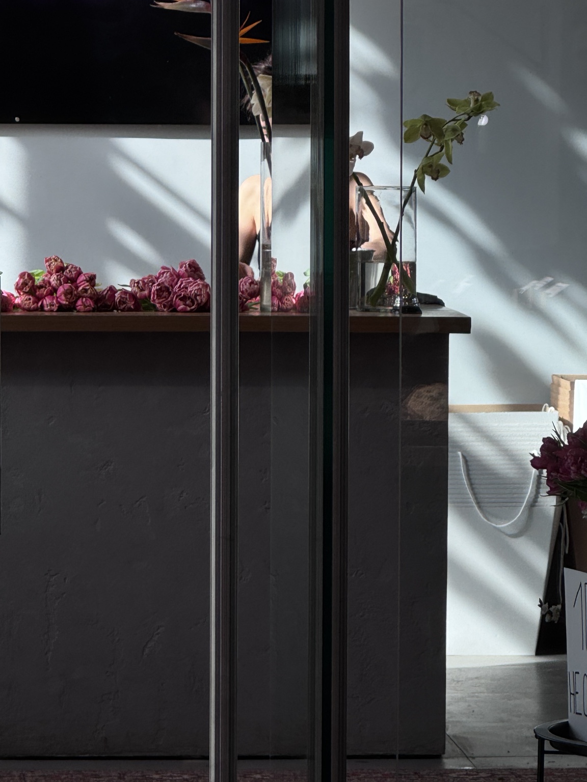 Flowers and window reflections in angled light