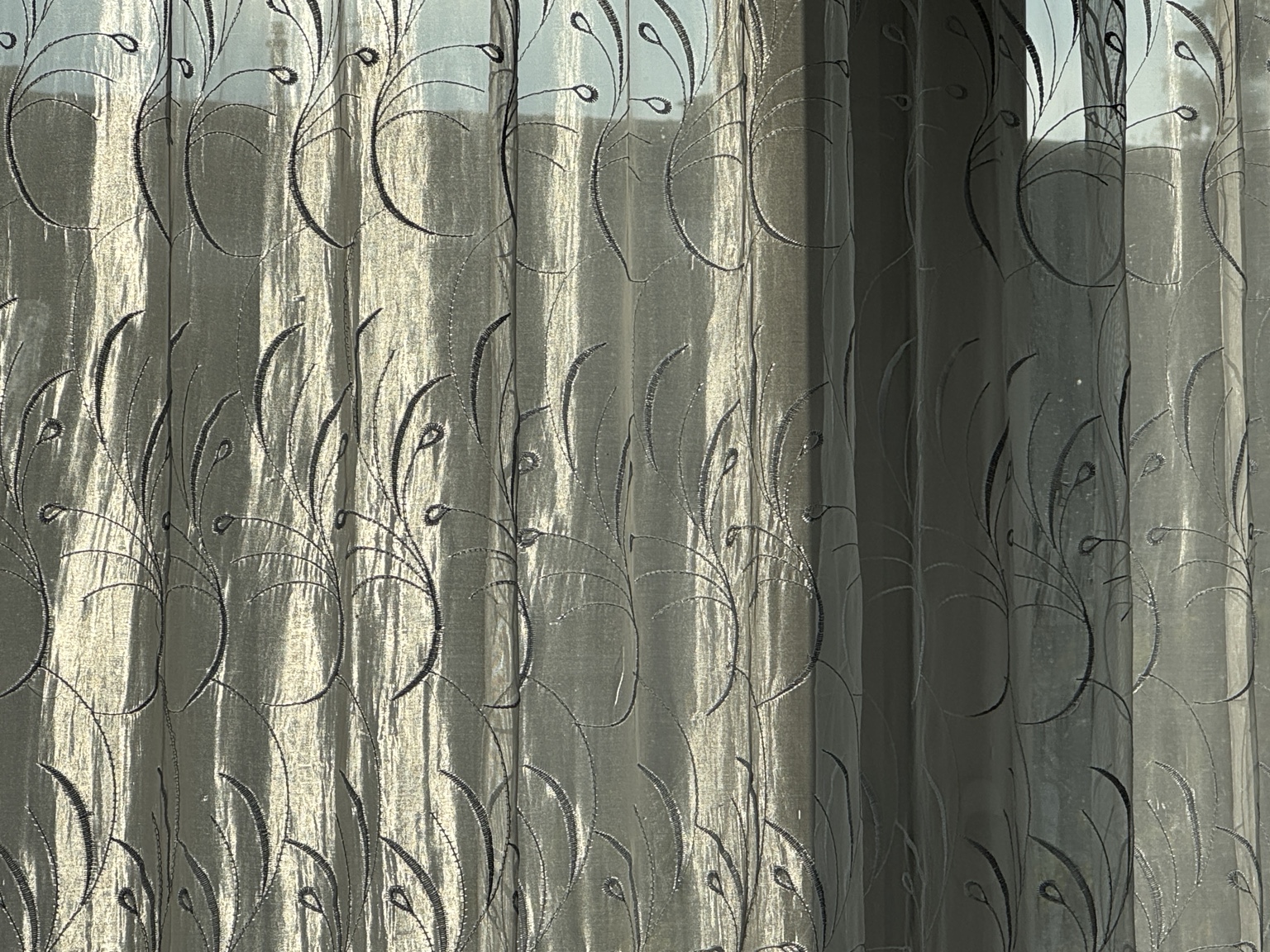 Patterned curtains glowing in window light