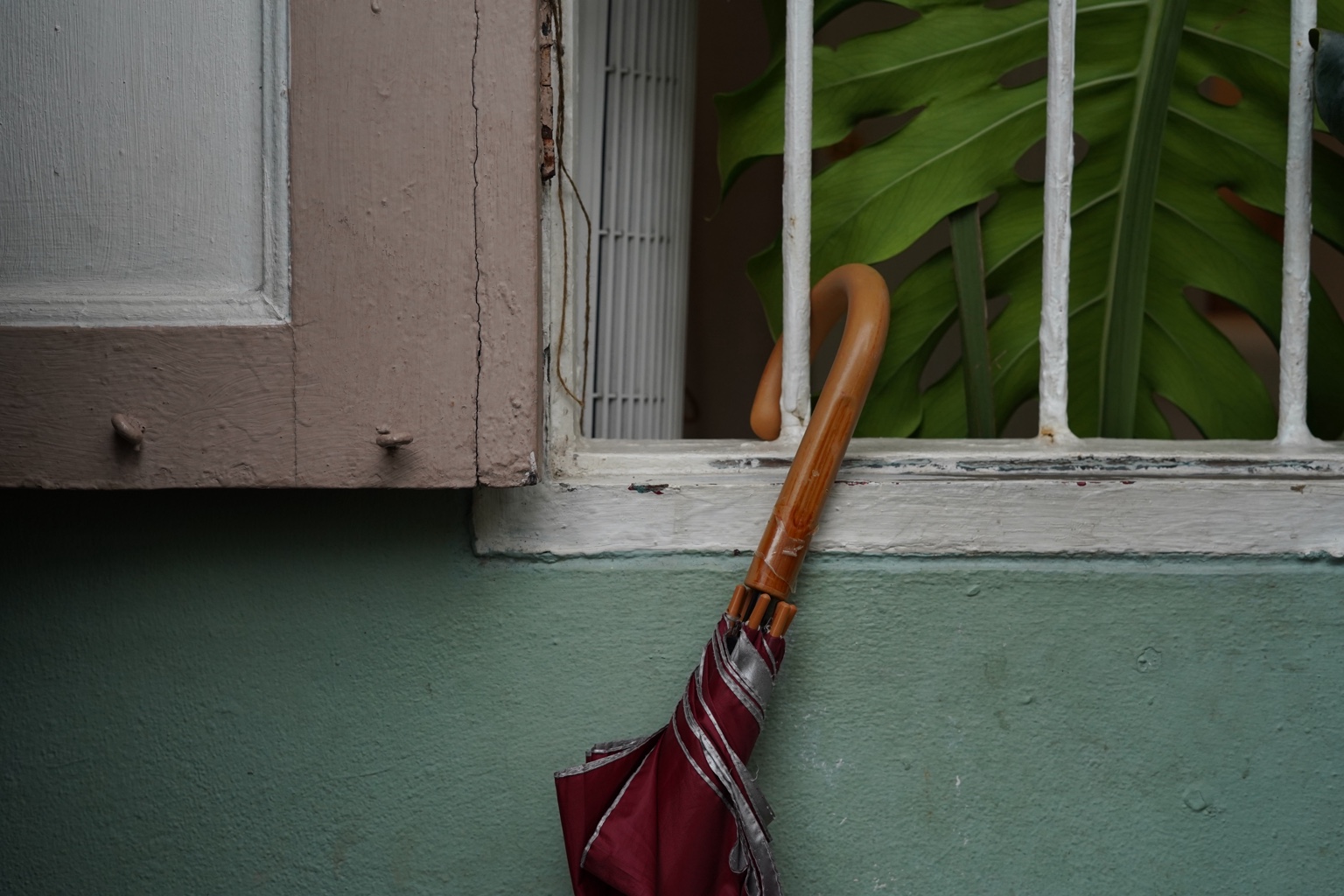 Closed red umbrella leaning beside a barred window and green leaf